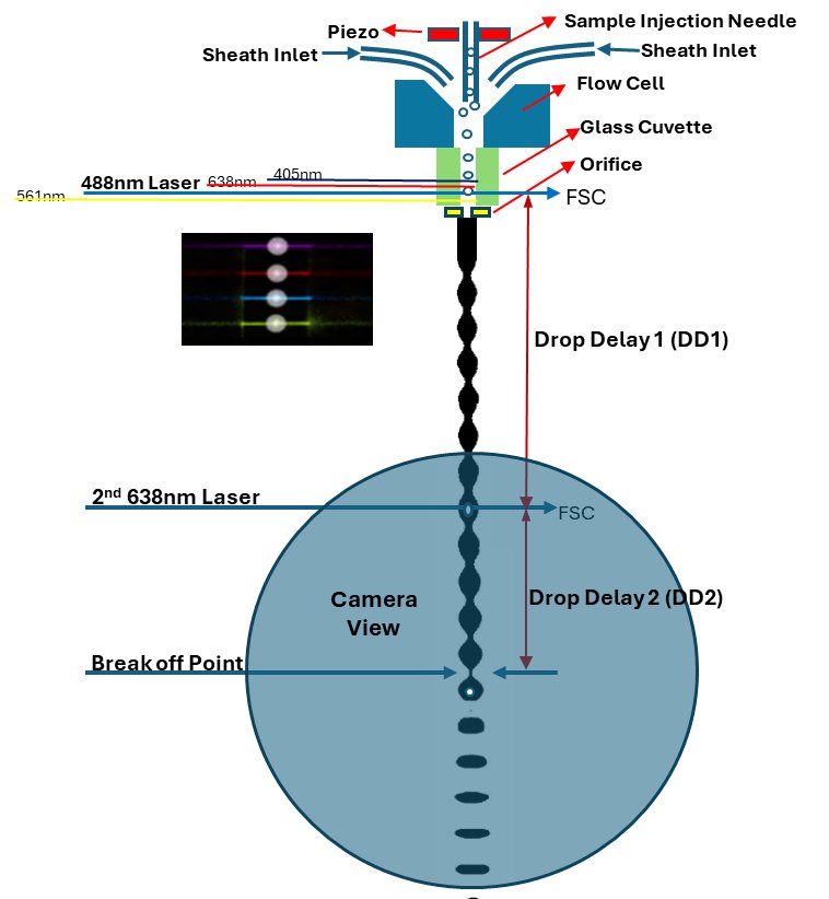 165337_509124_jswz.png 165337_509124_jswz.png