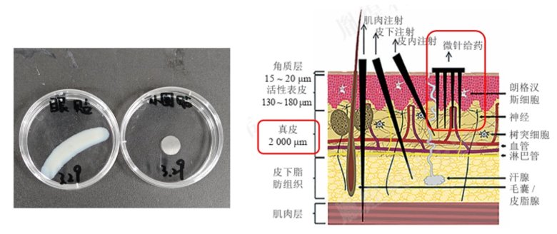 110312_726904_jswz.jpg 1.jpg