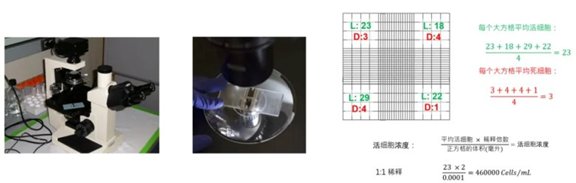 164807_380365_jswz.png beck3.png