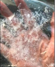 143800_726721_procont.png image.png