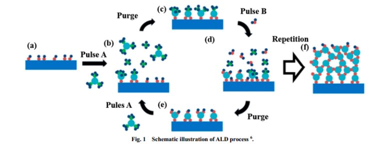 092206_590990_jswz.png 092206_590990_jswz.png