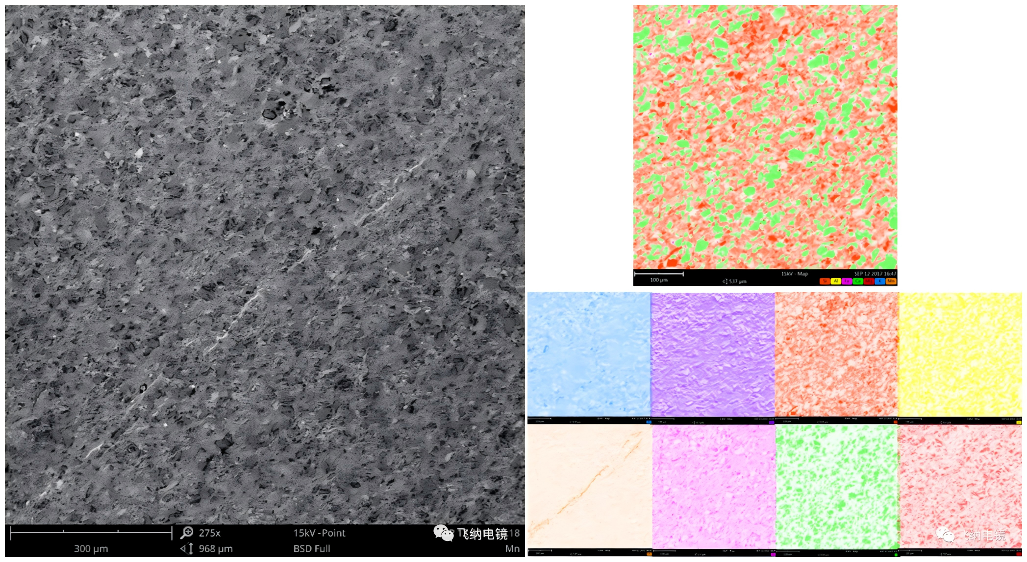 沉积岩微观形貌扫描电镜及 EDS 面扫分布图