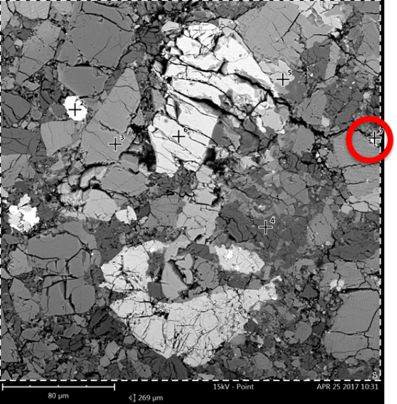 扫描电镜背散射图像及样品点扫位置