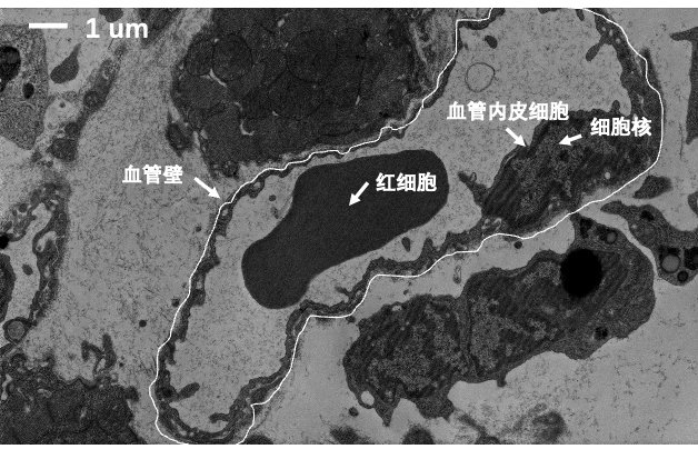 172030_311947_gsdt.png 172030_311947_gsdt.png