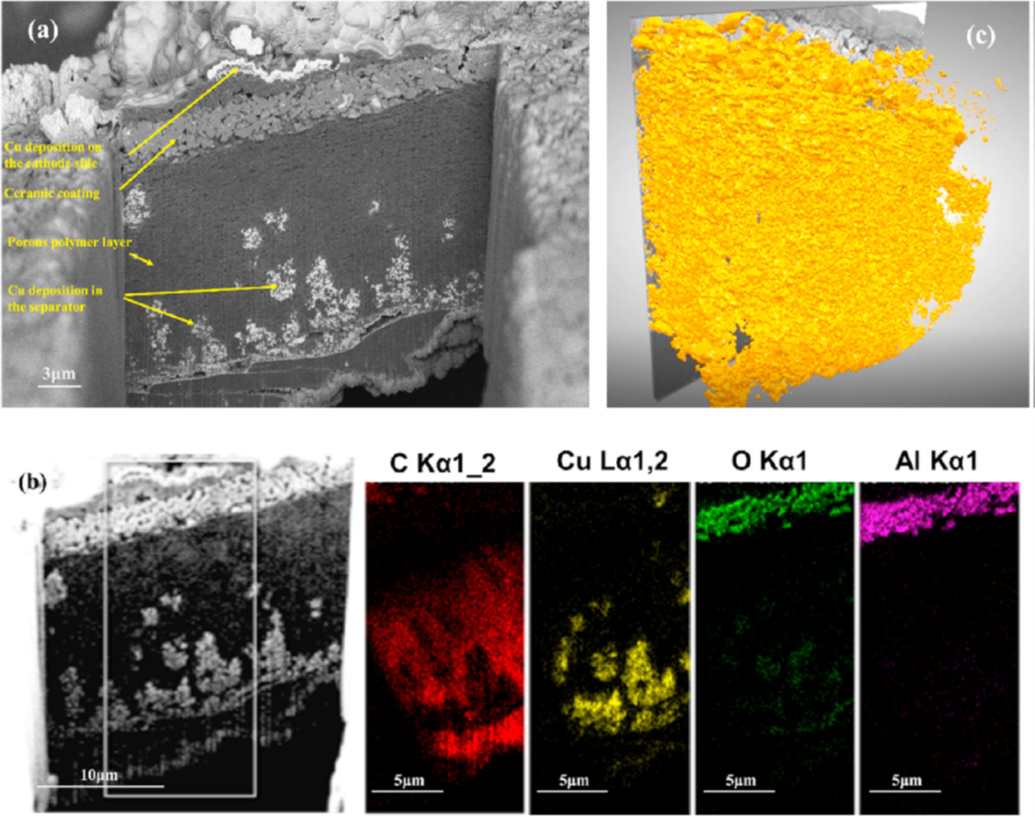 金属铜导致电池短路(a)扫描电镜图像 (b)各元素的分布