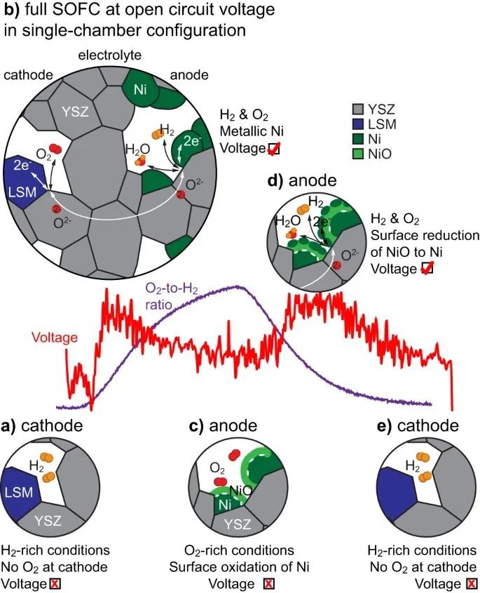 在 ETEM 中观察到的单室配置 SOFC 运行示意图。