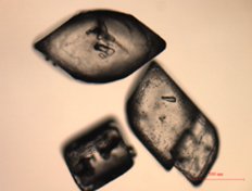 094857_290823_procont.jpg 1710467325607.jpg