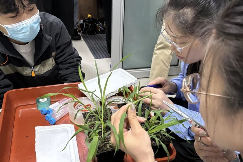 101911_785320_gsdt.jpg 101911_785320_gsdt.jpg