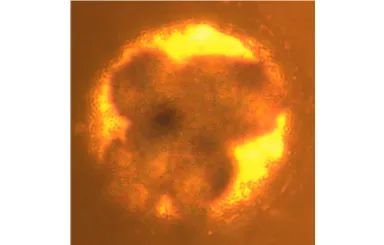 153256_267949_jswz.jpg 153256_267949_jswz.jpg