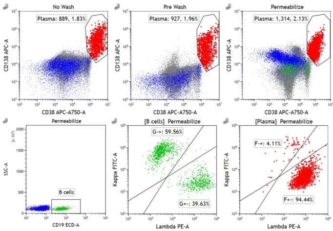 170523_067072_jswz.jpg 170523_067072_jswz.jpg
