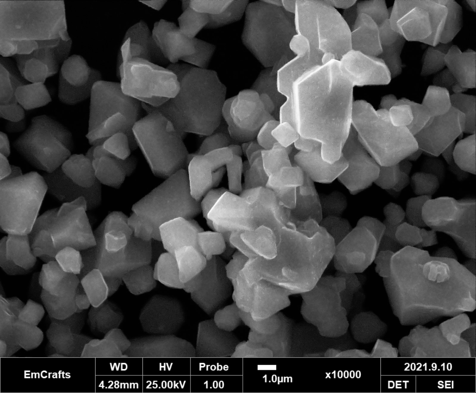 1645693661112359.jpg 1645693661112359.jpg