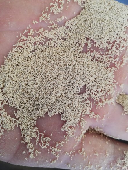 171802_112239_procont.png image.png