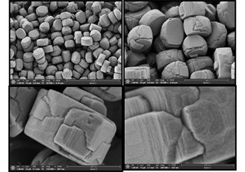 171341_450074_jswz.jpg 02.jpg