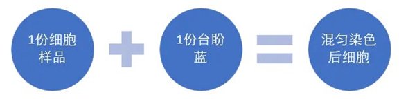 164850_634354_jswz.png beck6.png