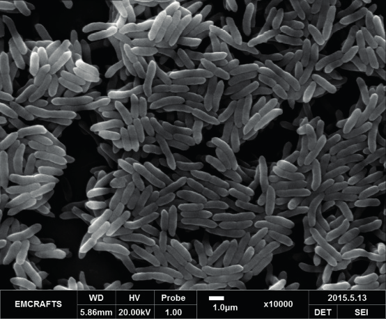 1621328059287968.png QQ图片20210518153138.png