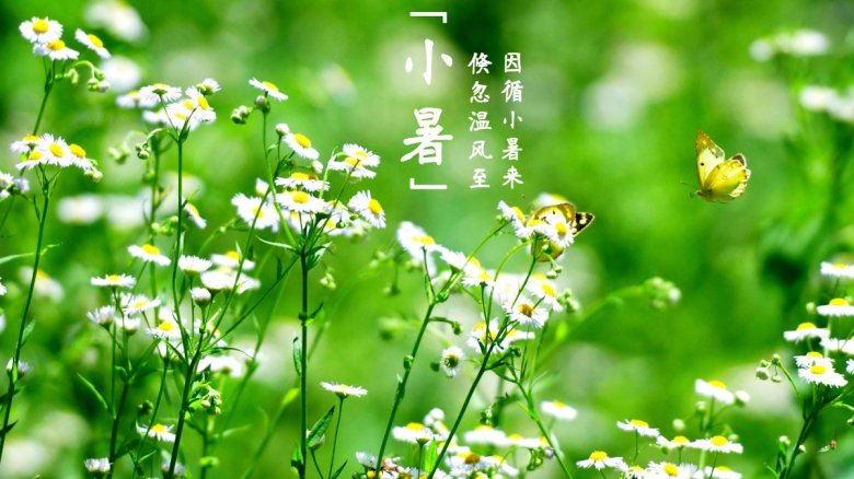 111624_624879_jswz.jpg 倏忽温风至,因循小暑来-二十四节气 小暑.jpg