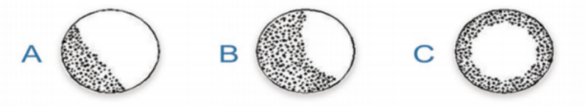 1709537779161578.png 企业微信截图_17095377701163.png