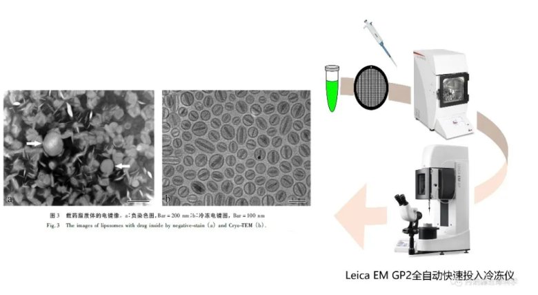 114916_259560_jswz.png 3.PNG