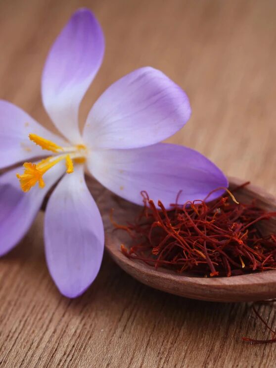 132331_523768_jswz.jpg 微信图片_2025-09-11_132319_340.jpg