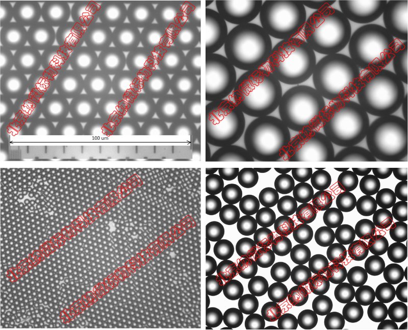 173755_651569_procont.jpg 333.jpg