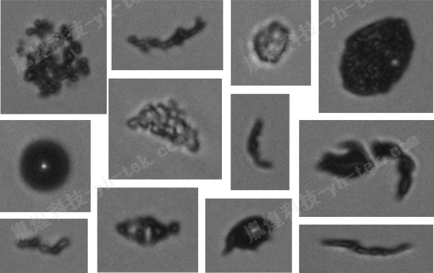 103725_678218_jswz.jpg 微流成像颗粒分析系统-图像法粒度仪1.jpg