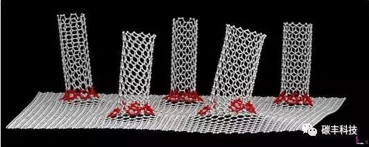 093831_635478_jswz.jpg 微信图片_20250303093702.jpg