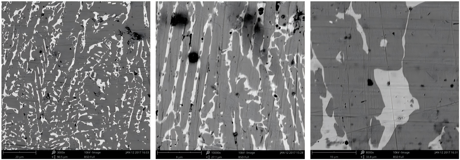 飞纳台式扫描电镜下的烧结 NdFeB 速凝带