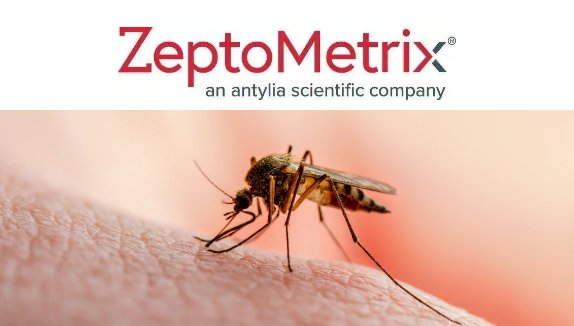 115551_855143_gsdt.png 115551_855143_gsdt.png