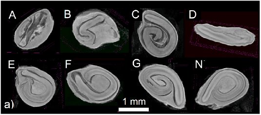 111642_355538_jswz.png 微信图片_20240513111224.png