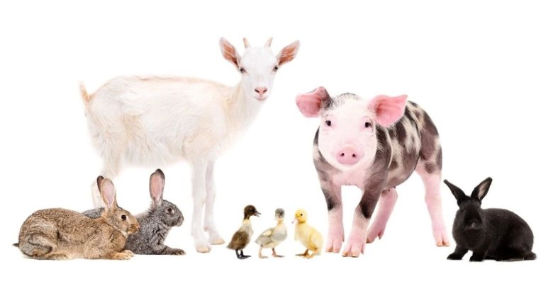 143937_360133_jswz.jpg 143937_360133_jswz.jpg