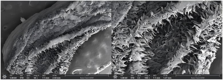 085300_739890_jswz.png 085300_739890_jswz.png