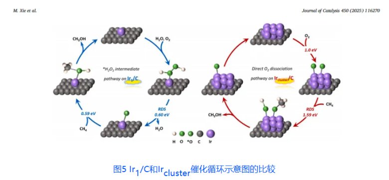 103402_085655_gsdt.png 中山大学杨乐老师课题组5.png