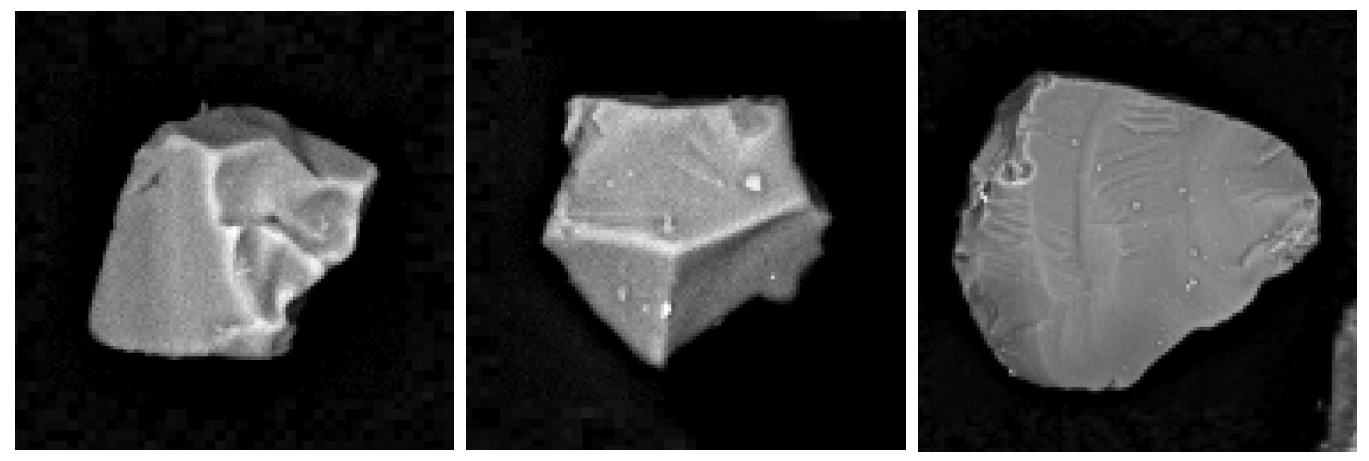 扫描电镜下工业零件中常见污染物(硅酸盐/石英/金属碎屑)