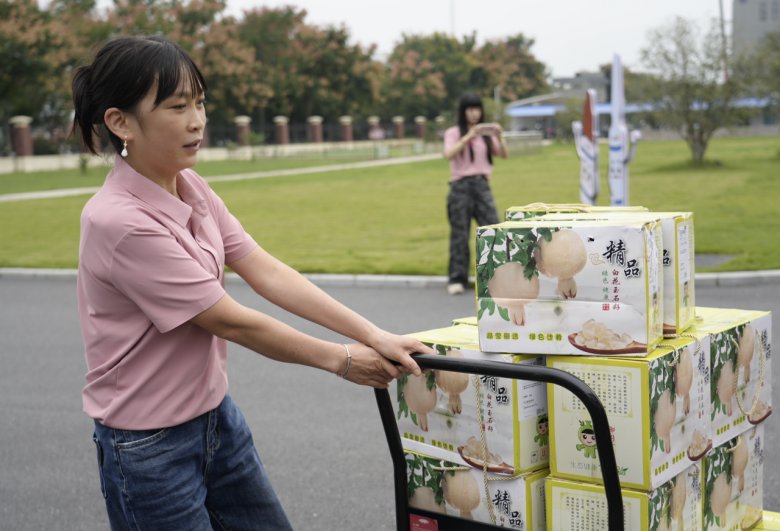 140915_001880_gsdt.png 140915_001880_gsdt.png