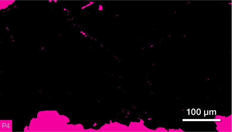 084213_093864_jswz.png 084213_093864_jswz.png