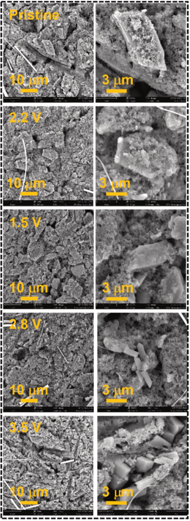 不同电压下 NT‑U 聚酰亚胺在第一个循环过程中 扫描电镜微观外观的演变