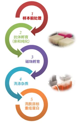 150824_200842_jswz.png 1.png