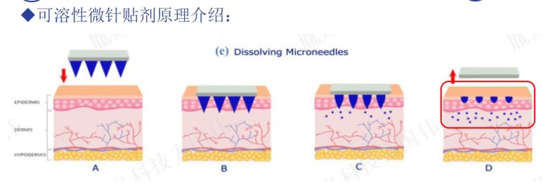 110322_961828_jswz.jpg 2.jpg