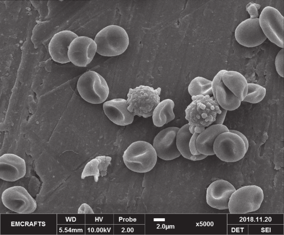 1621328075110982.png QQ图片20210518153147.png