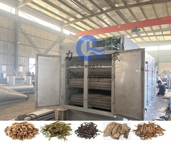 瓜子网带干燥机