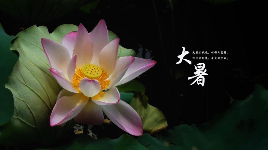 102217_902739_jswz.jpeg 大暑节气,是夏季的最后一个节气.jpeg