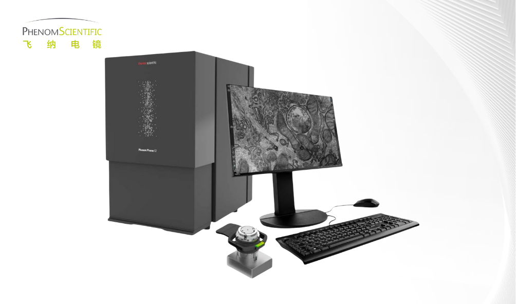 台式场发射生物电镜