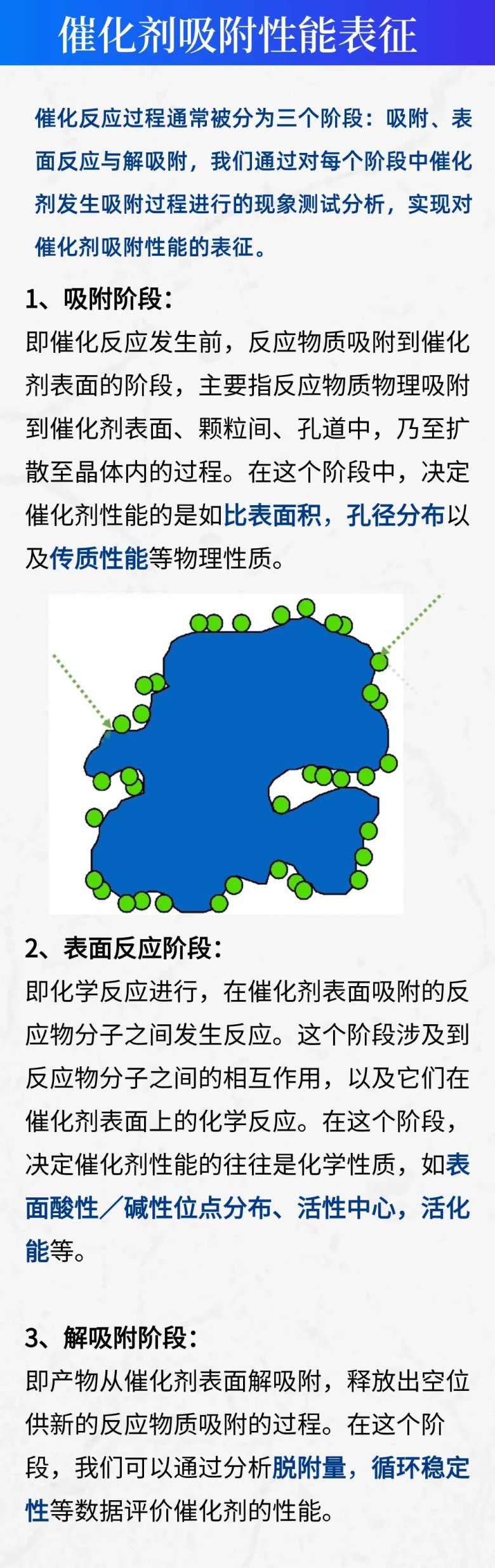 081649_307425_gsdt.jpg 081649_307425_gsdt.jpg