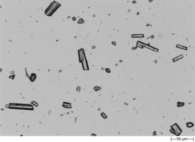 20221118-775826689.jpg 640 (15).jpg