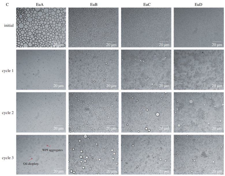 144518_484401_jswz.png 144518_484401_jswz.png