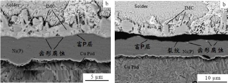 102248_150923_jswz.png 微信图片_20231226102118.png