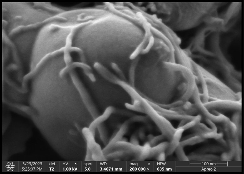 093627_383799_jswz.png 093627_383799_jswz.png