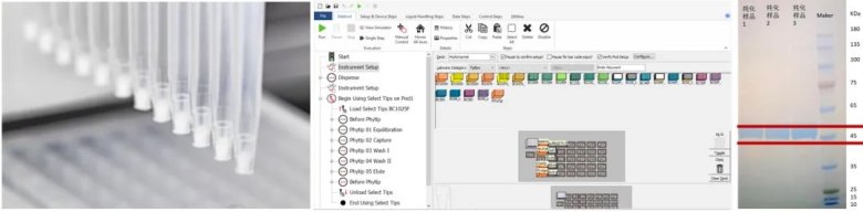 155922_322848_jswz.jpg 9.jpg