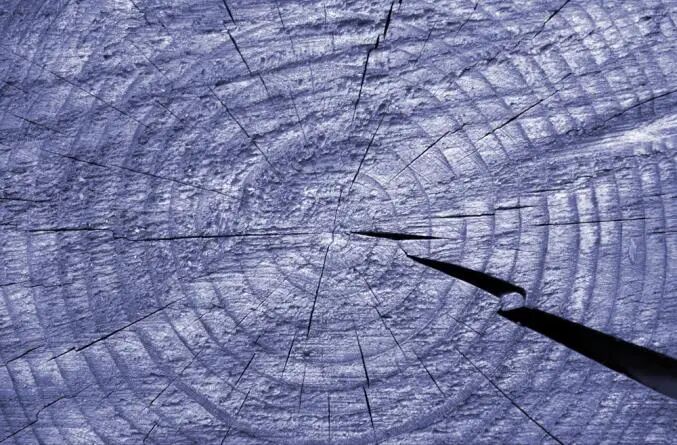 150252_772109_jswz.jpg 150252_772109_jswz.jpg