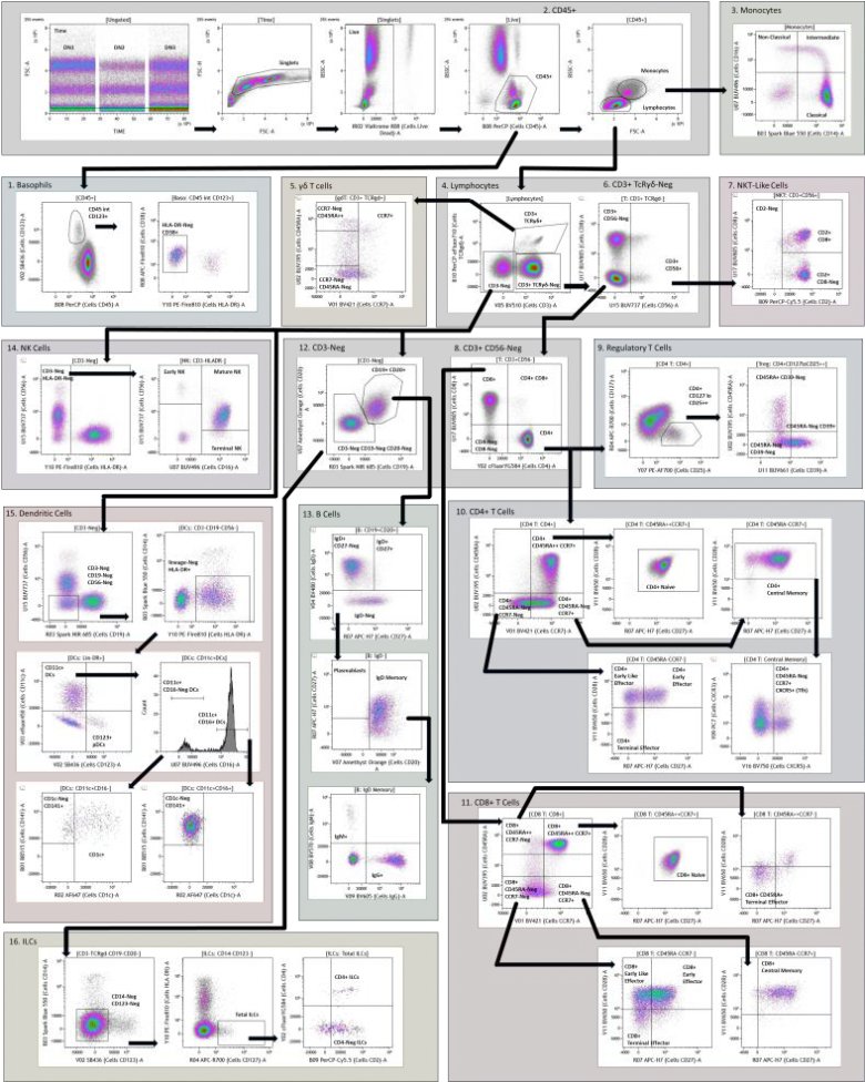 111724_086894_gsdt.png 111724_086894_gsdt.png